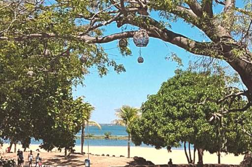 Mobilização: ação de sustentabilidade