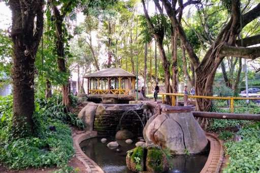 Ação de Sustentabilidade